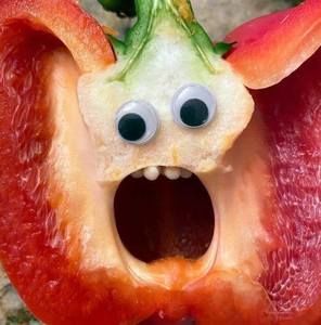 Meet your Posher, Shannon